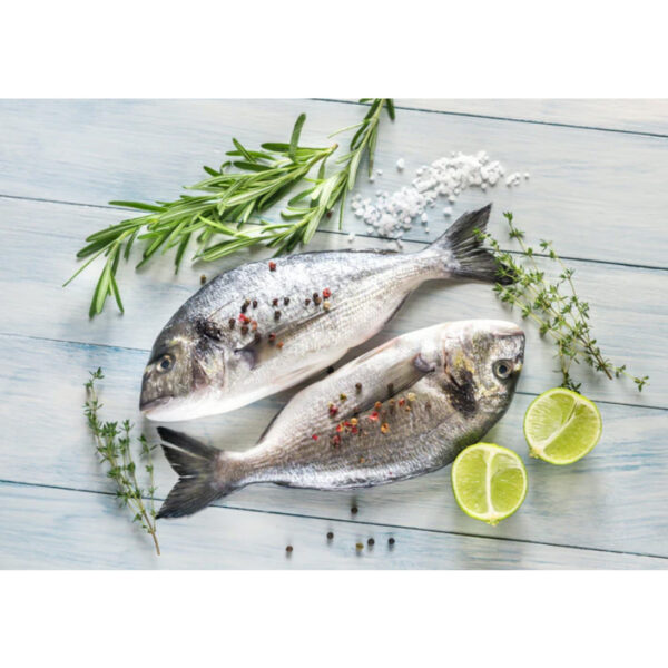 Fresh Dorade