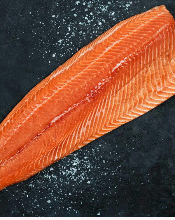Salmon Fillet