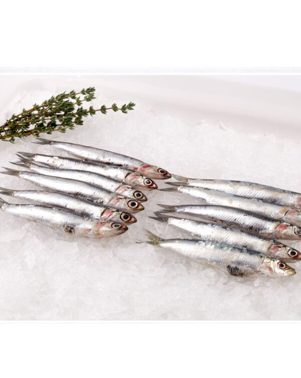 Anchovies