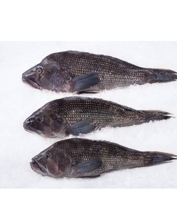 Black Sea Bass Whole