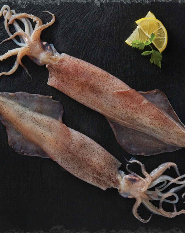 Calamari