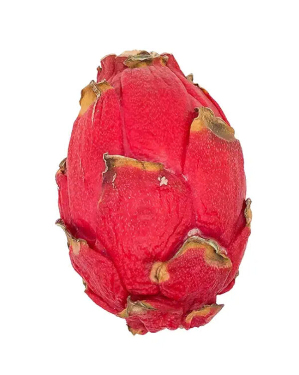 Dragon Fruit