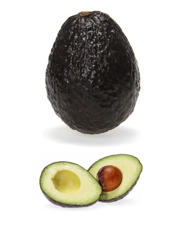 Hass Avocado