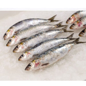 Sardines