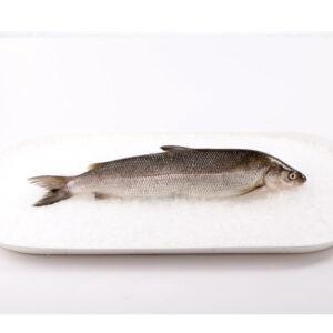 Whitefish Whole
