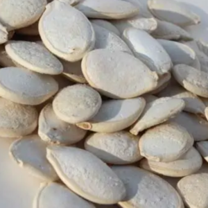 White pumpkin seeds salted
